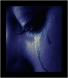 Terre de sentiments...